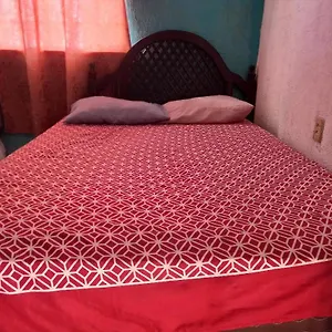  Hostal Bravo Vallarta