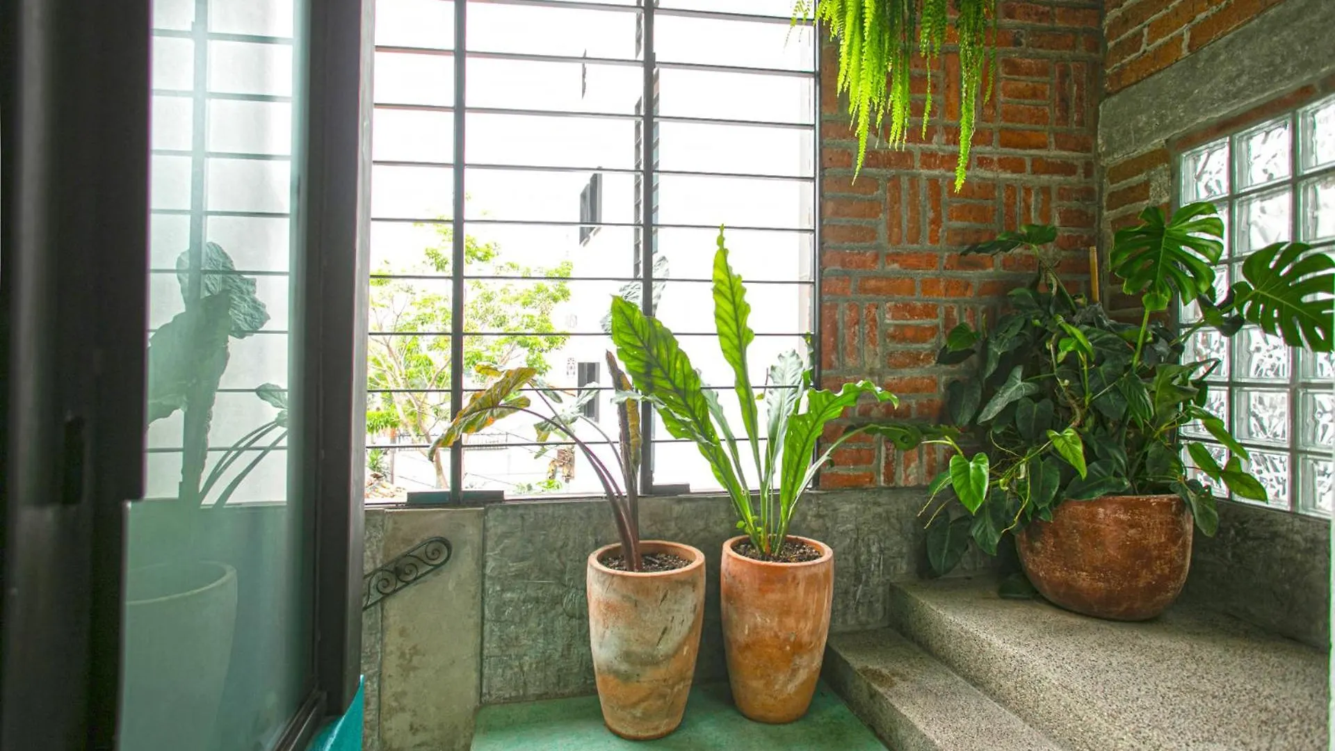 Casa Pancha Puerto Vallarta Centro - Adults Only México