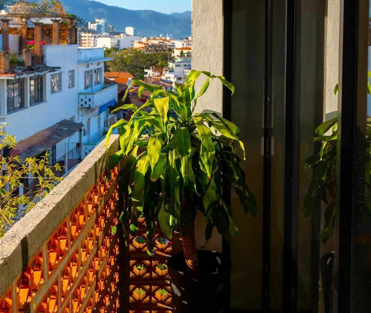Casa Pancha Puerto Vallarta Centro - Adults Only México